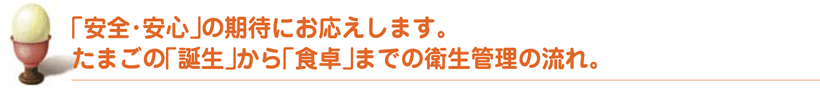 「安全・安心」の期待にお応えします。たまごの「誕生」から「食卓」までの衛生管理の流れ。