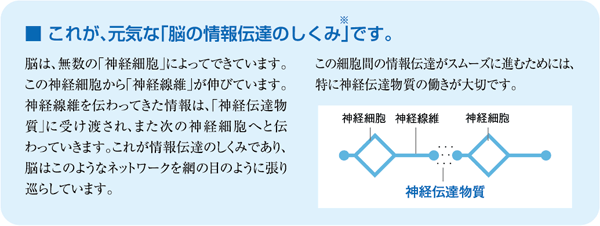 これが、元気な｢脳の情報伝達のしくみ｣です。