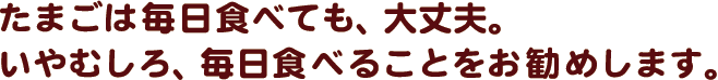 たまごは毎日食べても、大丈夫。いやむしろ、毎日食べることをお勧めします。