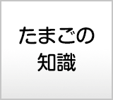 たまごの知識