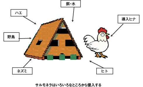日本養鶏協会